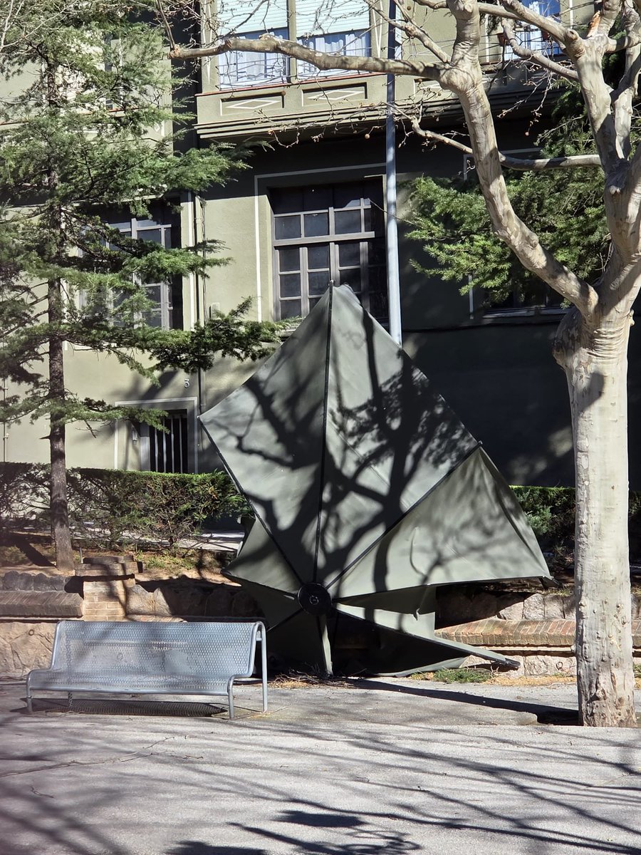 Aleix Serra Uró tweet media