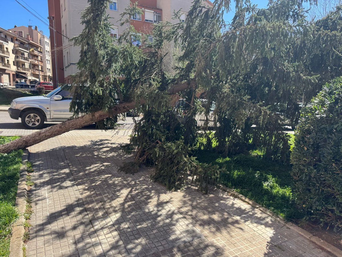 Aleix Serra Uró tweet media