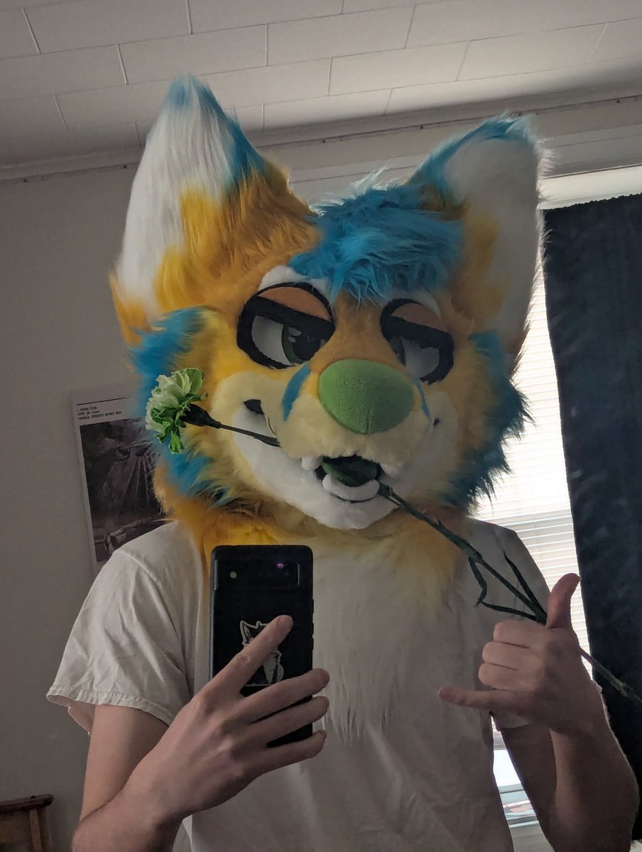 ThatRandomFox 🔜TFF tweet media