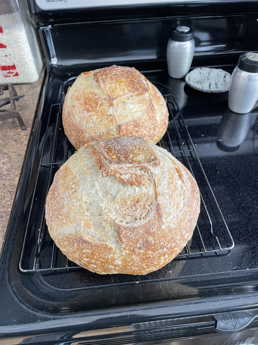 Brock Shearer tweet media