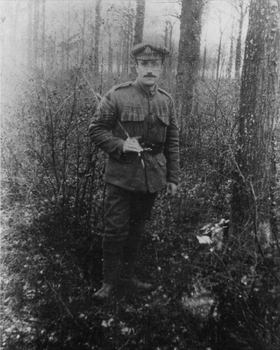 michael wilmot tweet media