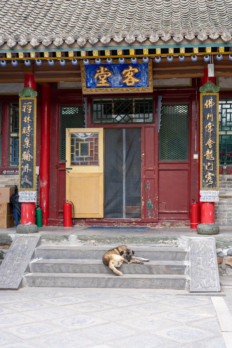 Patrick Phelps tweet media