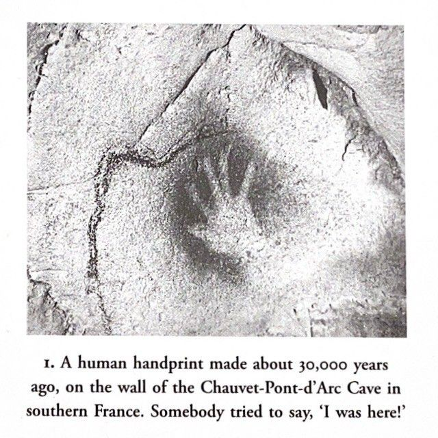 ирис tweet media