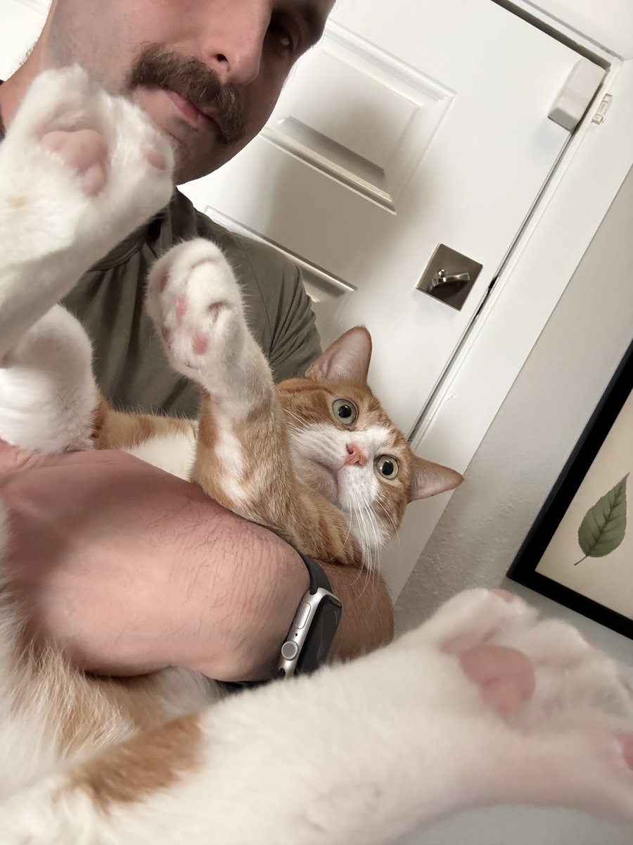 trey yates tweet media