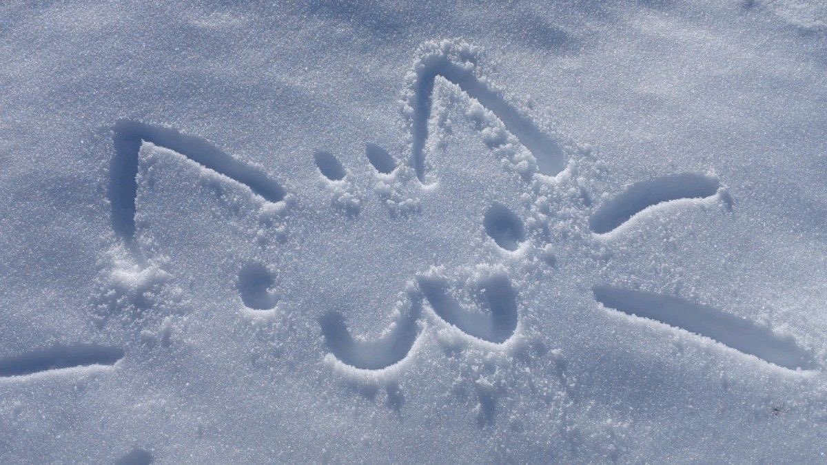 Cam 🪼|| Yuri Taliu CEO tweet media