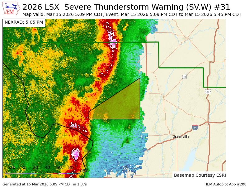 Haley Fitzpatrick tweet media