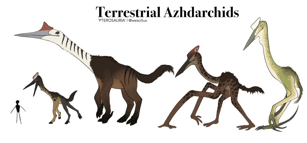 𓆀 rabid WEZDARCHID 🍉 tweet media