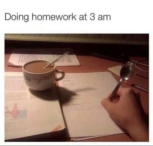 l_wsep's tweet photo. 9 more lilies… two project maps… 10 photos to cut… 1 egypt outfits sketch… then print 10 more photos… crop… one more project map… presentation draft… and all of that i have to finish before tuesday morning. https://t.co/fmp9I2Bx08
