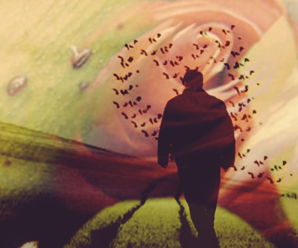 Hüseyin Taşatan tweet media