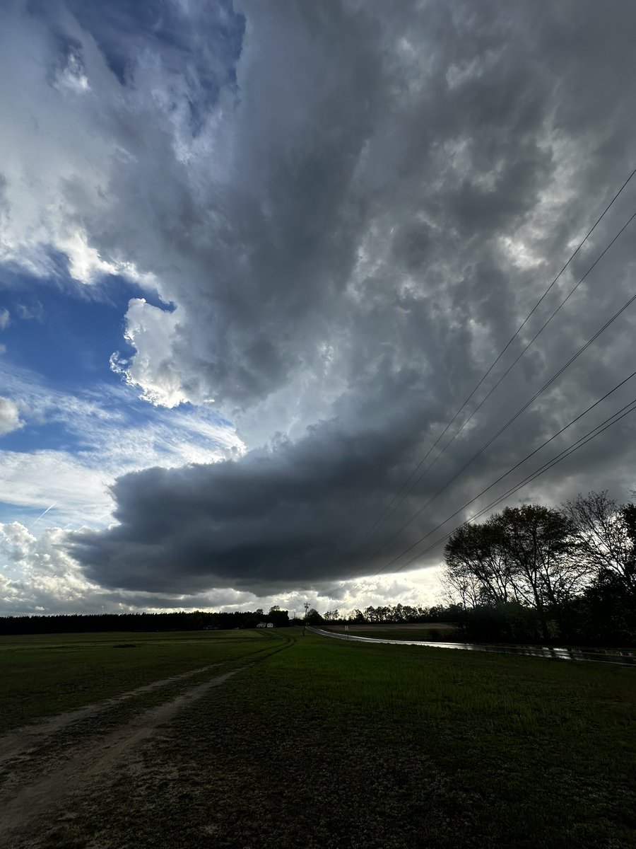 Brandon Payne 🥋 tweet media