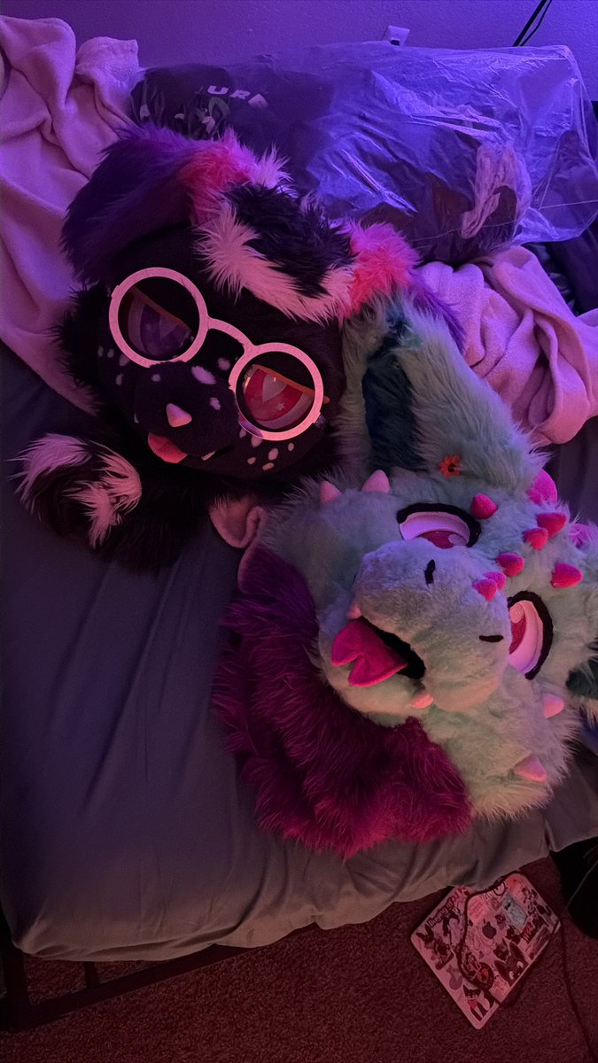 apuppyonline's tweet photo. bf is officially moved in, migration to phoenix is complete ❤️ https://t.co/BypJGT5ubP