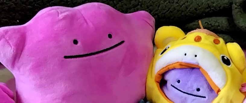とんとん tweet media