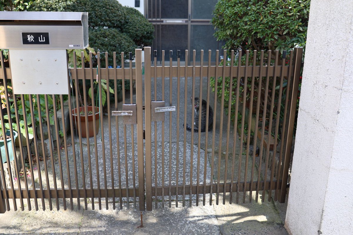 roppe (@enbundaisukii) on Twitter photo 