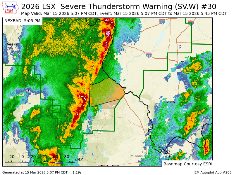 Haley Fitzpatrick tweet media