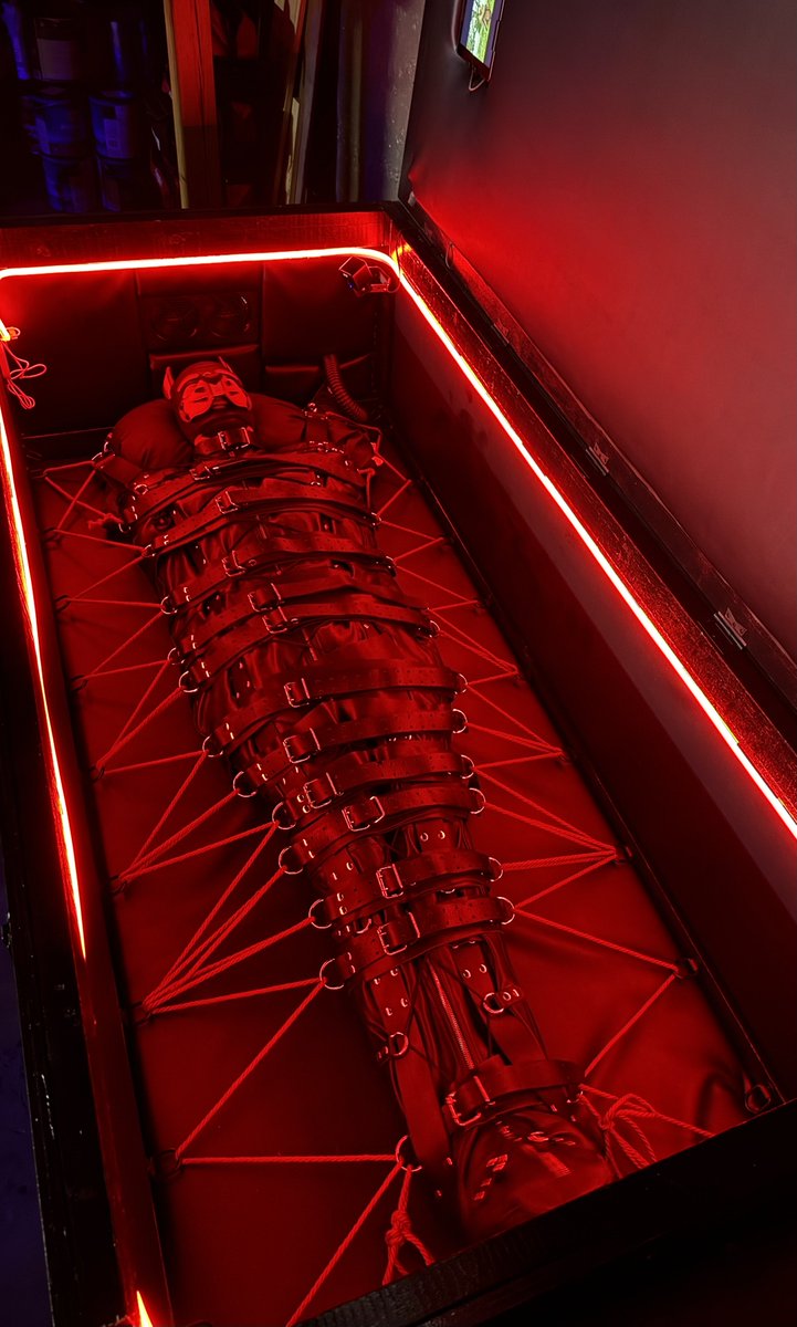 Your Master 🔜 MAL 2026 tweet media