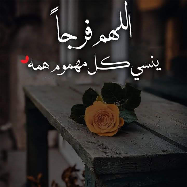 ابوفهد tweet media