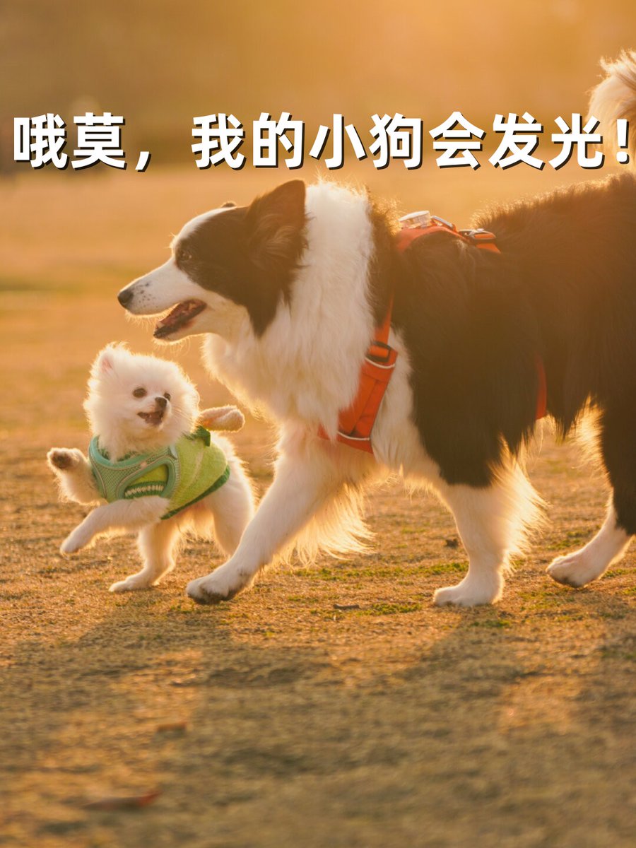 Cindi Rhorer tweet media