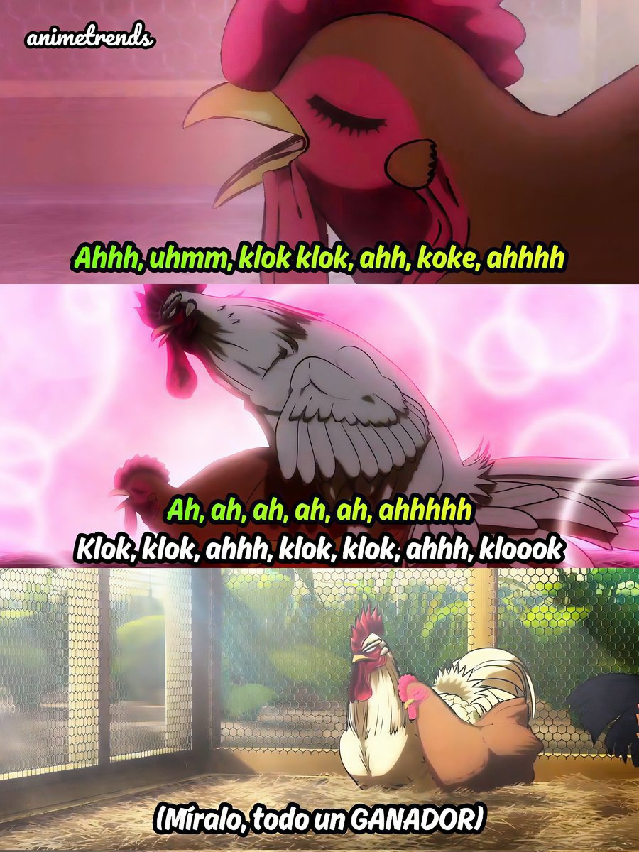 Animetrends tweet media