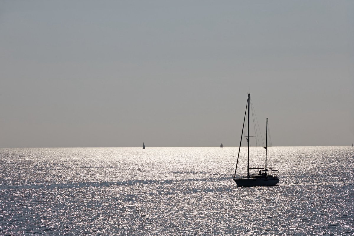 Brian Webb tweet media