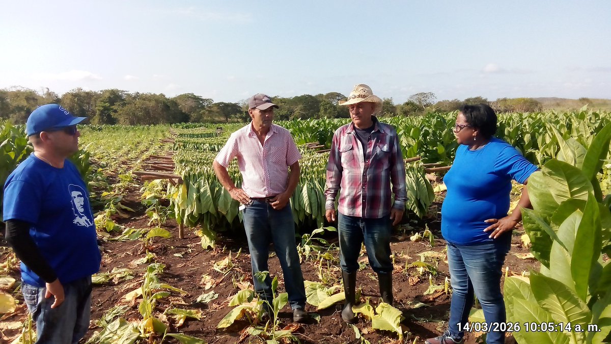 Anelys Ramírez González tweet media