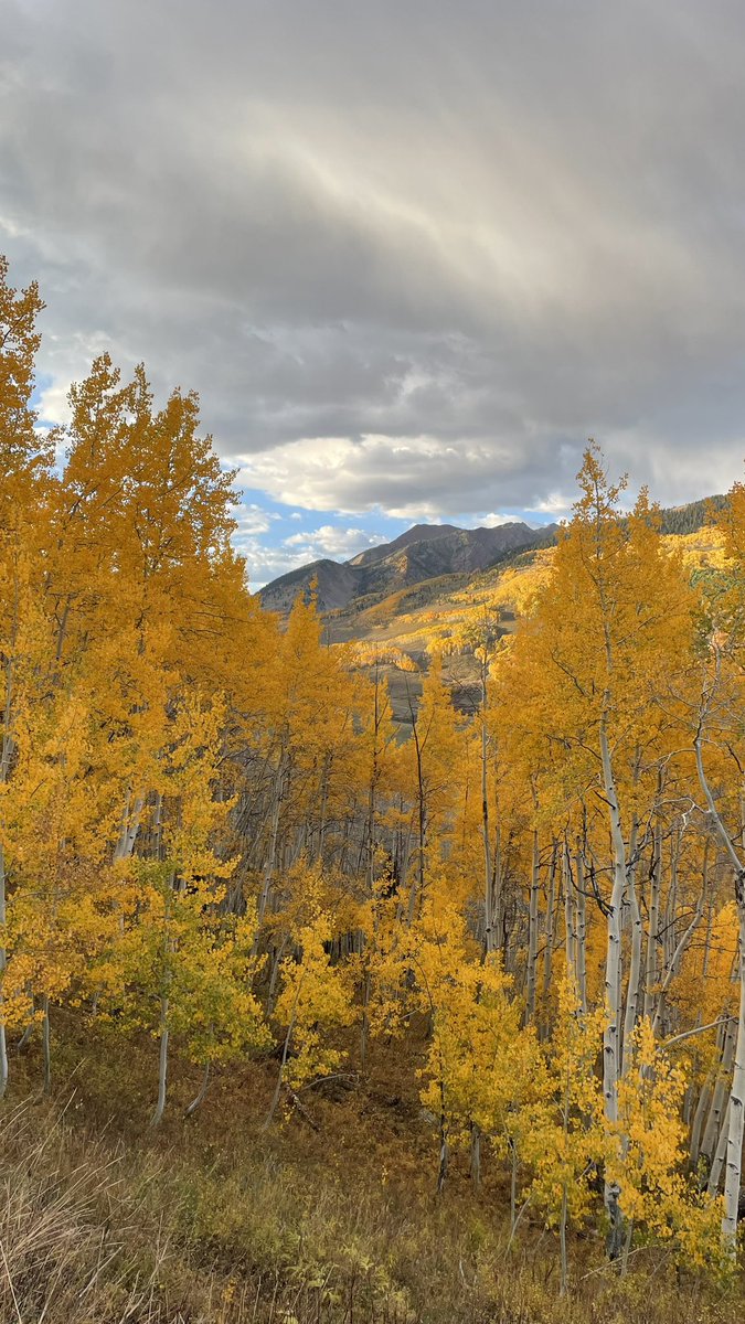 Benjamin Westby (Back Roads EV) tweet media