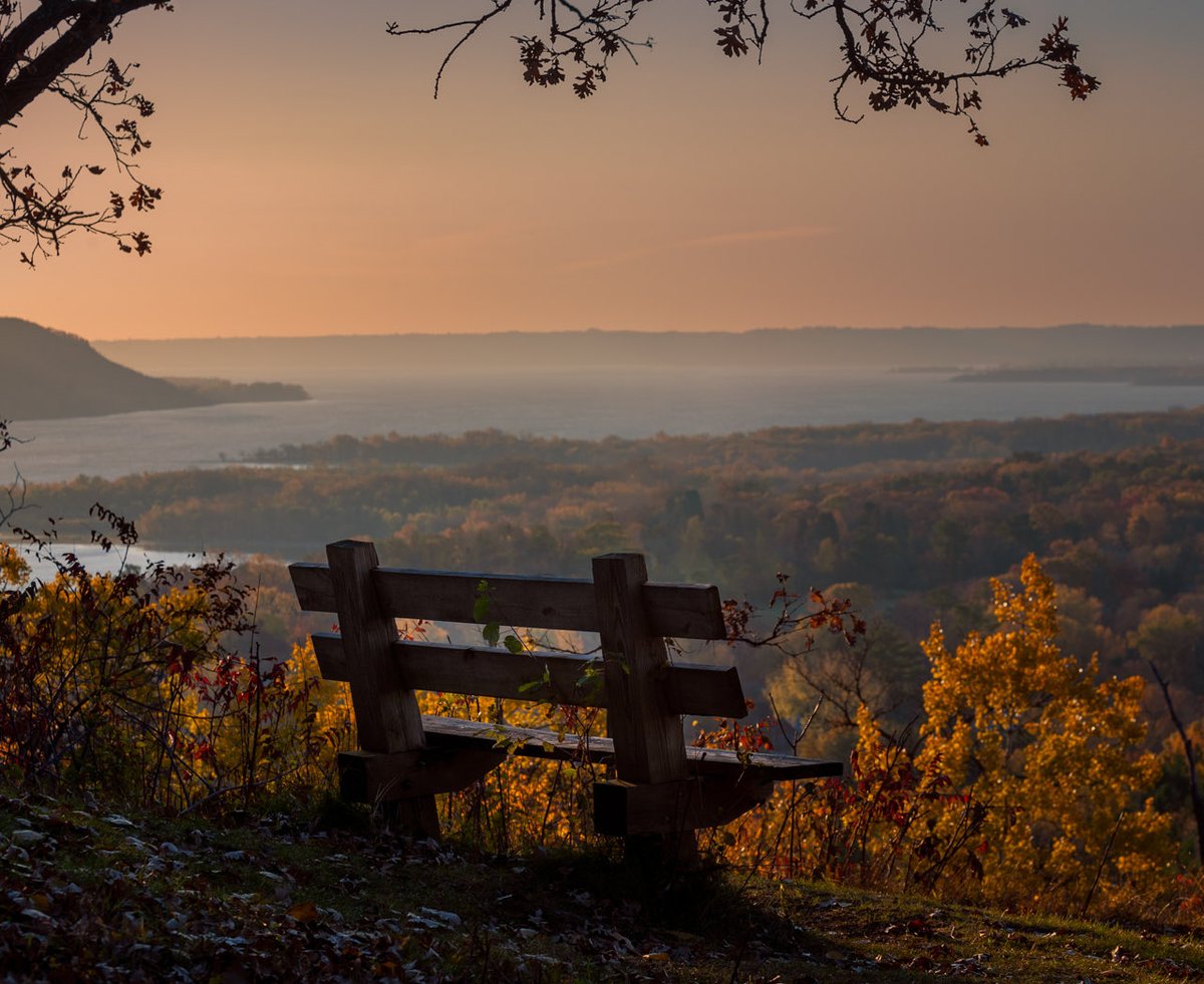 Deb Lee Carson Photography tweet media