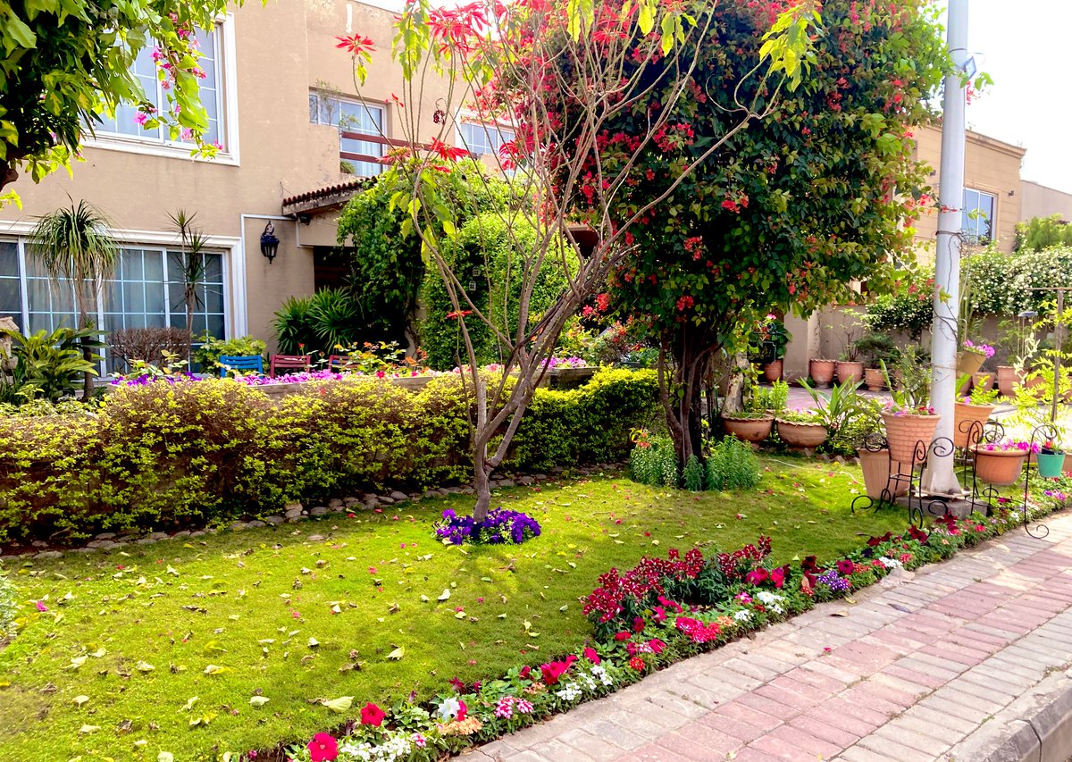 ajafri5's tweet photo. Fresh air, fresh blooms https://t.co/1taKh07oFR