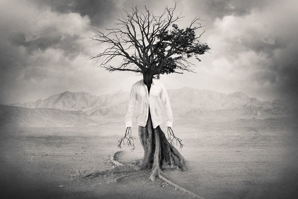 Revista Hypérbole tweet media