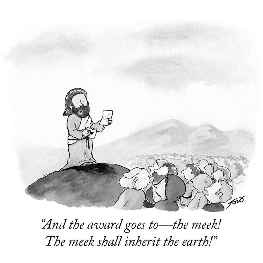 Mike Gibb ↔️ look at what they make you give tweet media