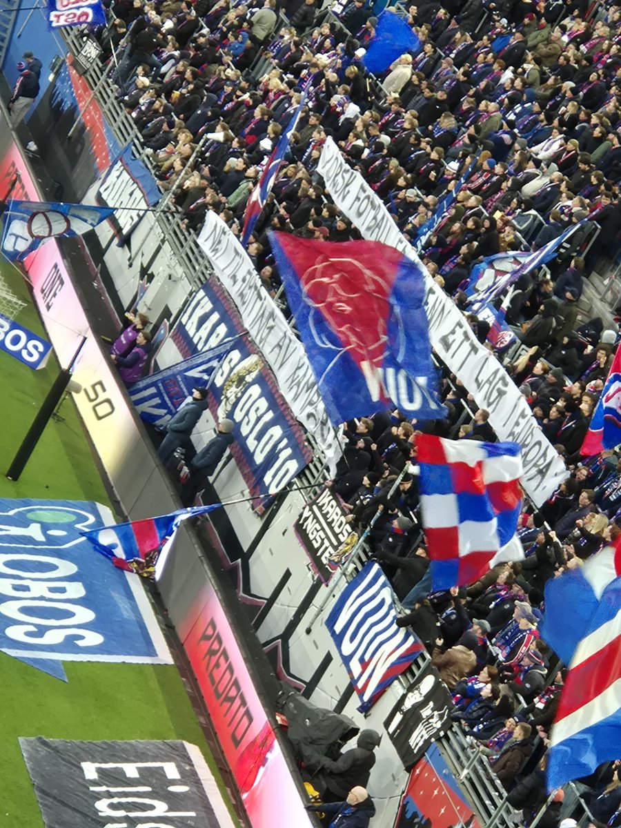 Sort viking tweet media