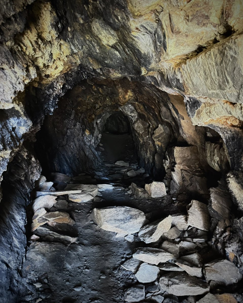 Bronze Goat tweet media