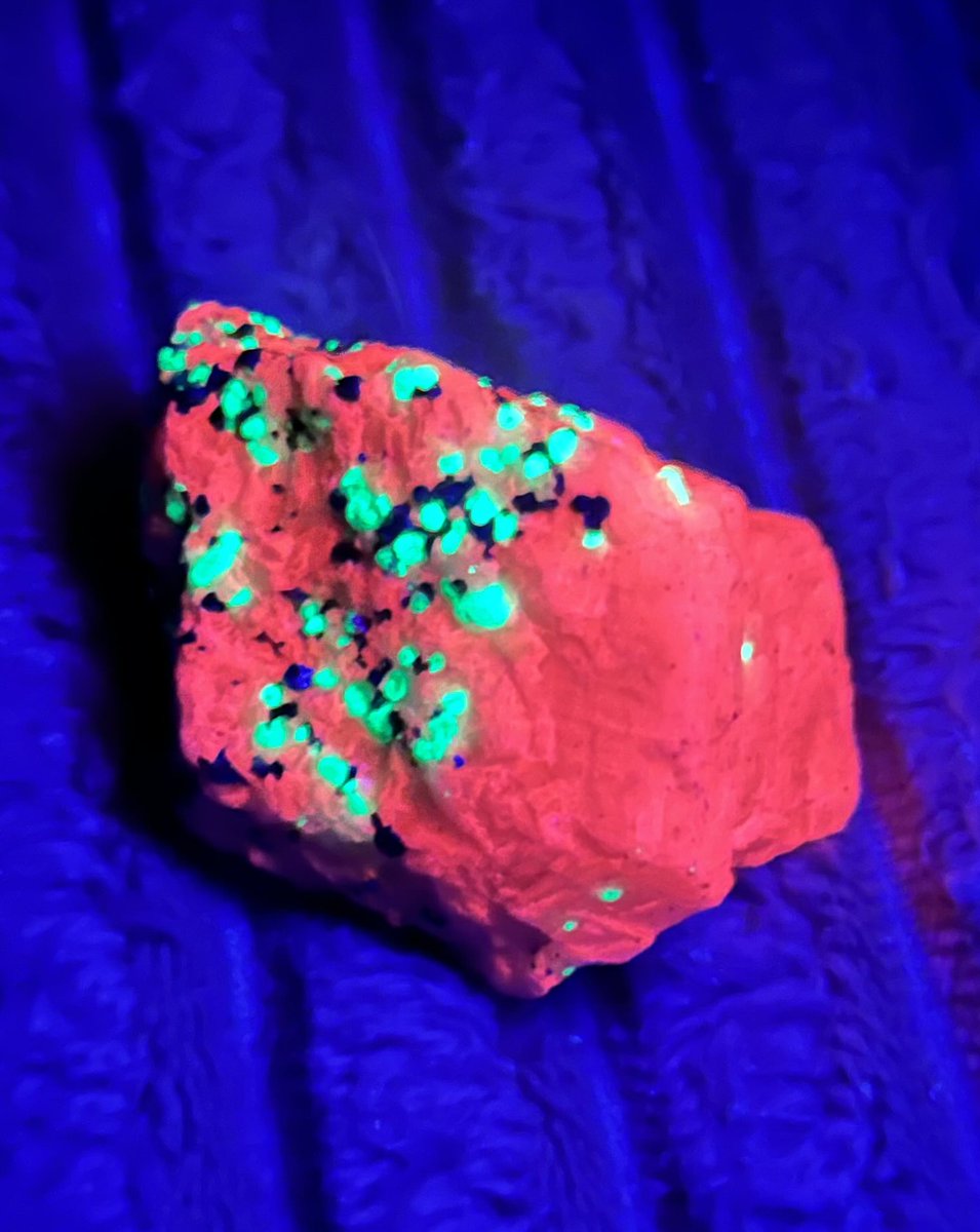 GekkoScience 🇺🇸 tweet media