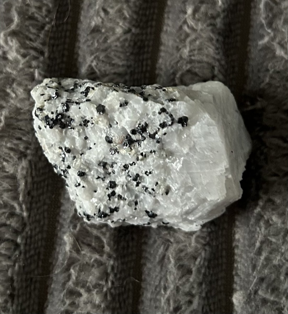 GekkoScience 🇺🇸 tweet media