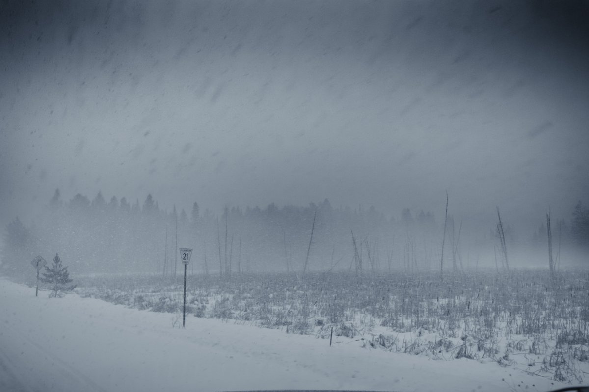 Loki Highlock tweet media