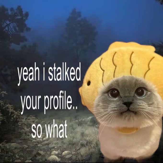 Kitten | ENtuber 💜✨ tweet media