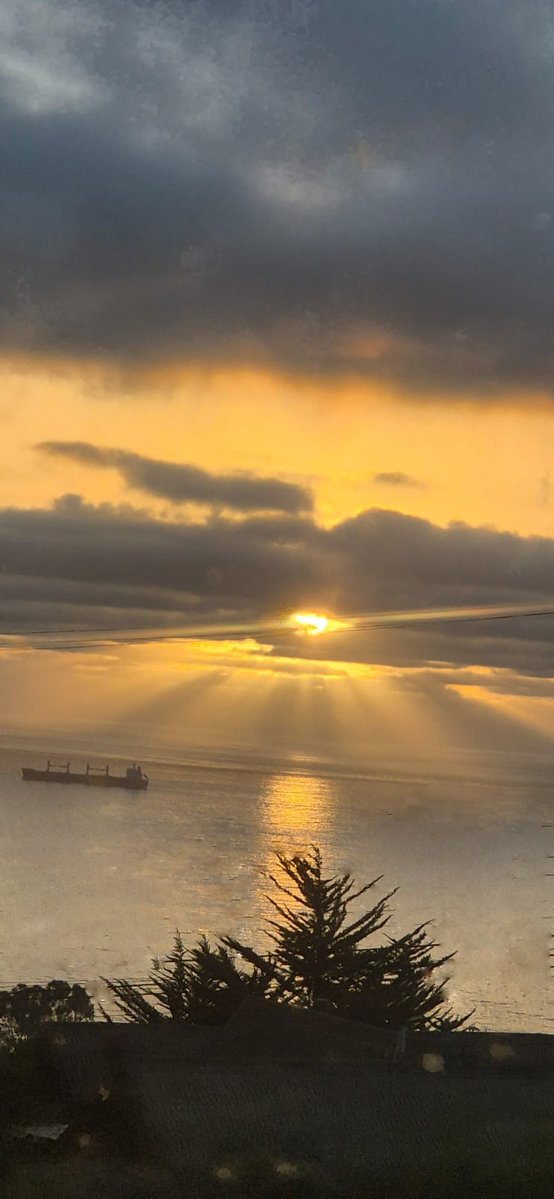 Gonzalo Codina 🇨🇱 tweet media