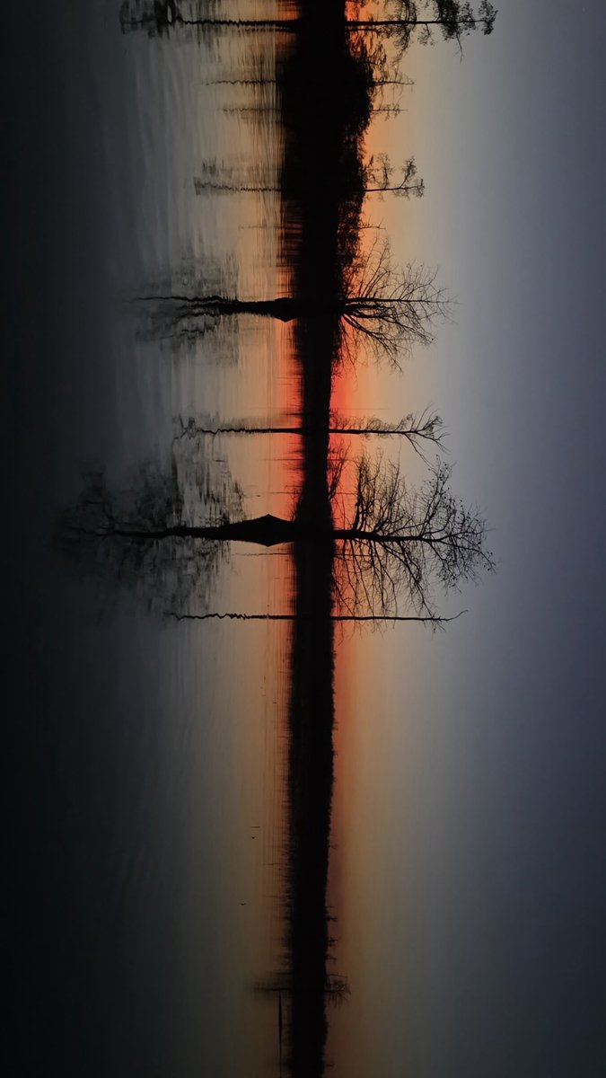 jason cates tweet media