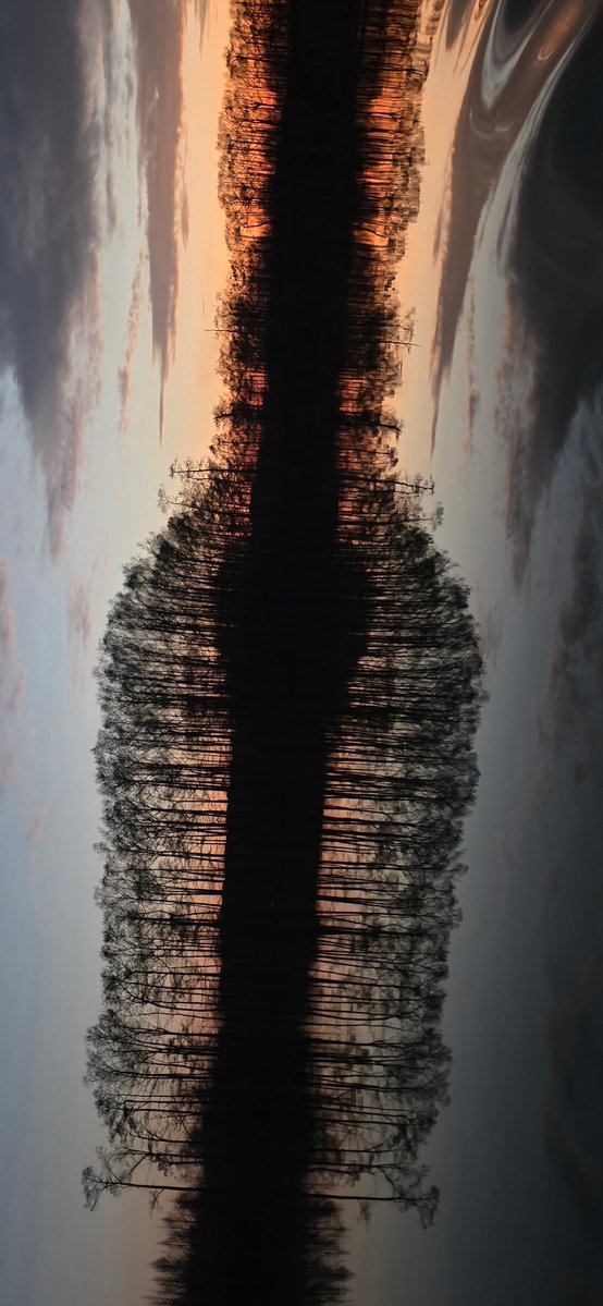 jason cates tweet media