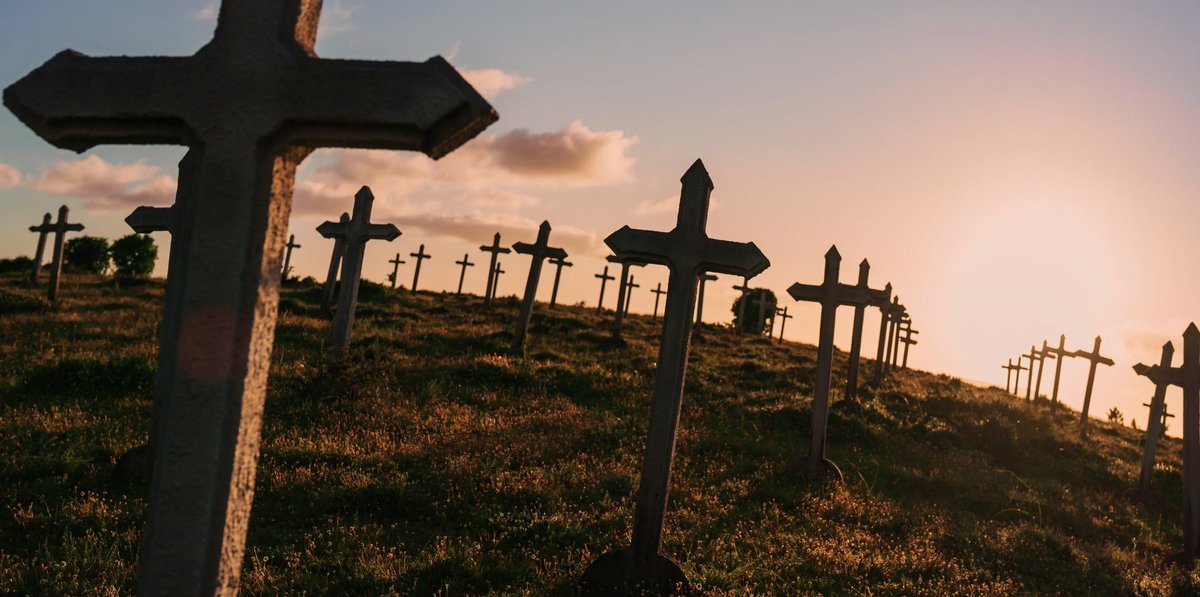 Yasso | ياسو tweet media