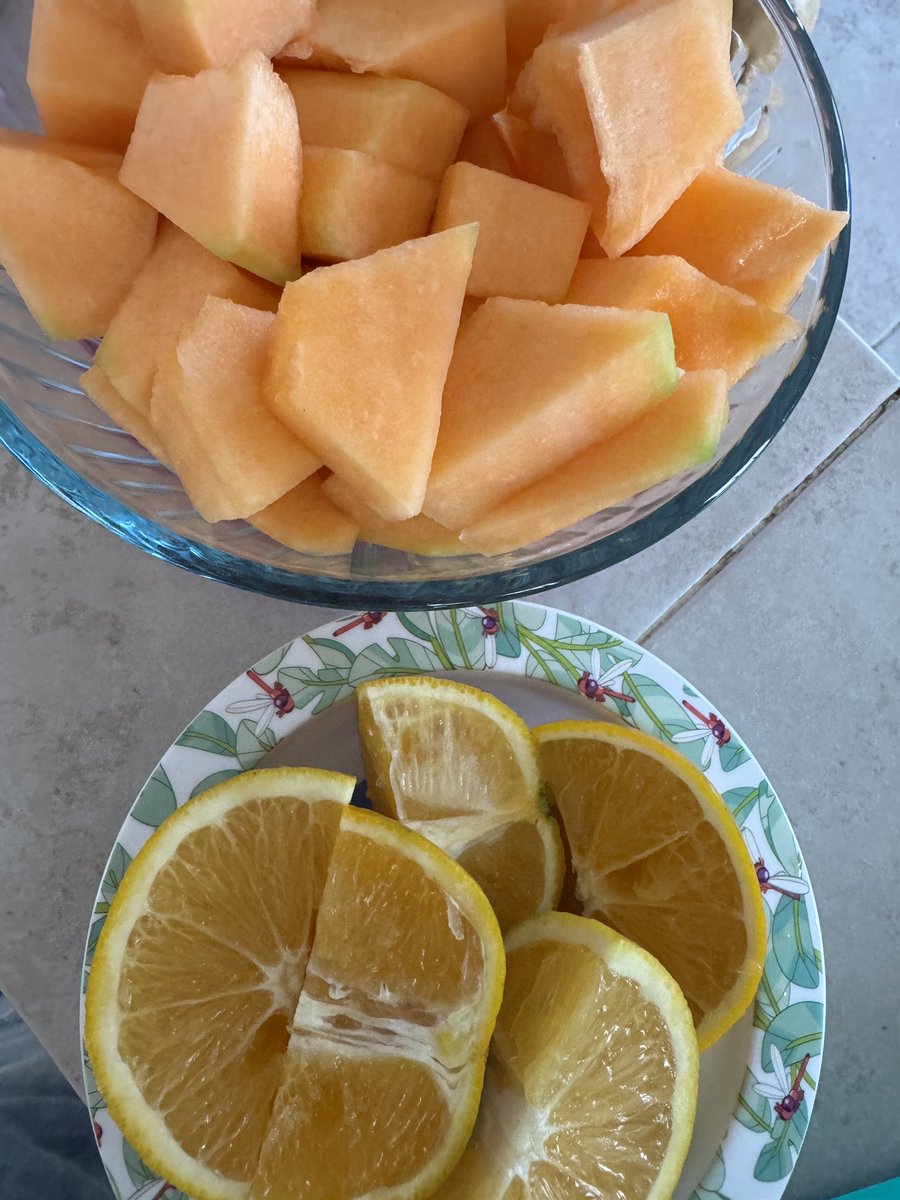 Molly Pills tweet media