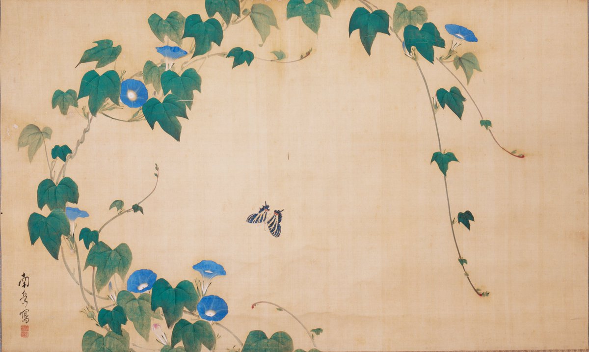 Morning Glory, by Watanabe Nangaku, early 19th century