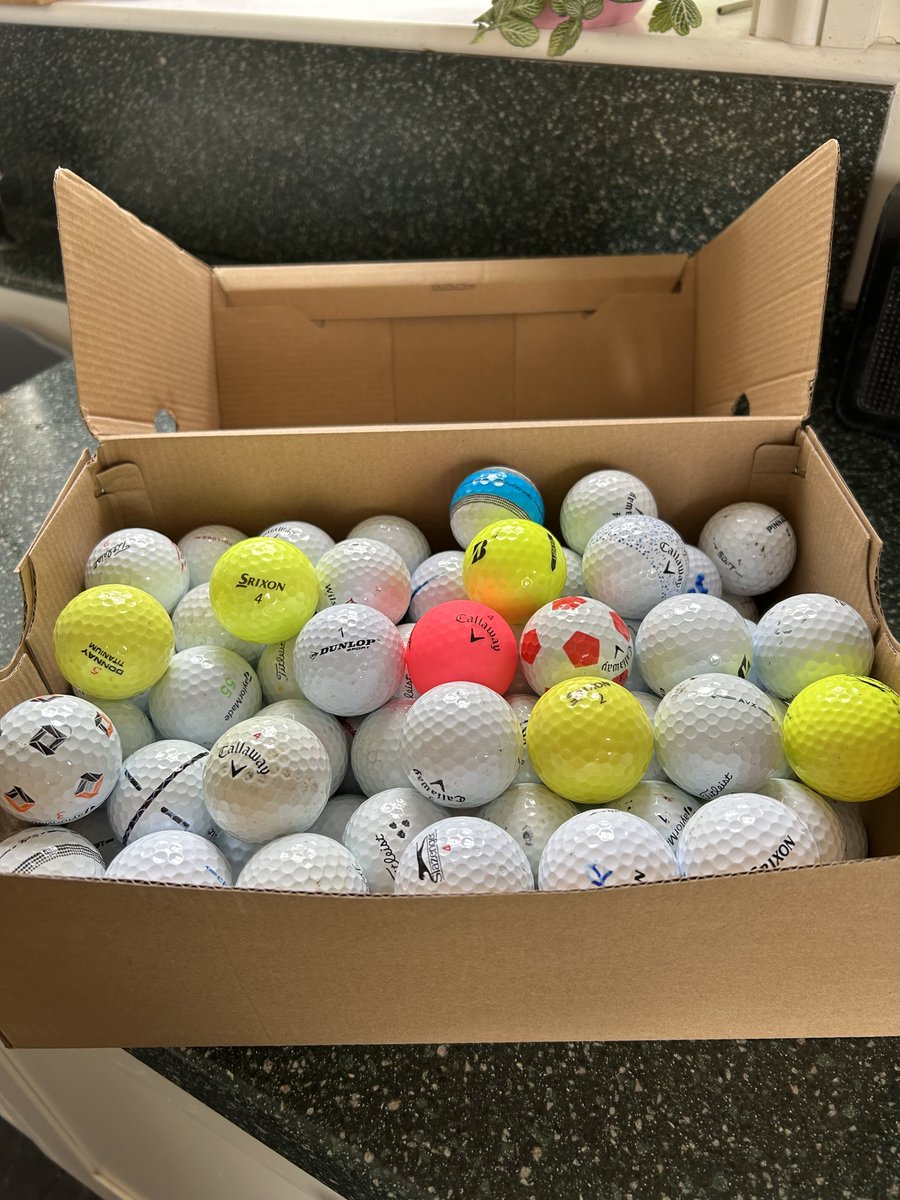 Sara Turle 💙 tweet media