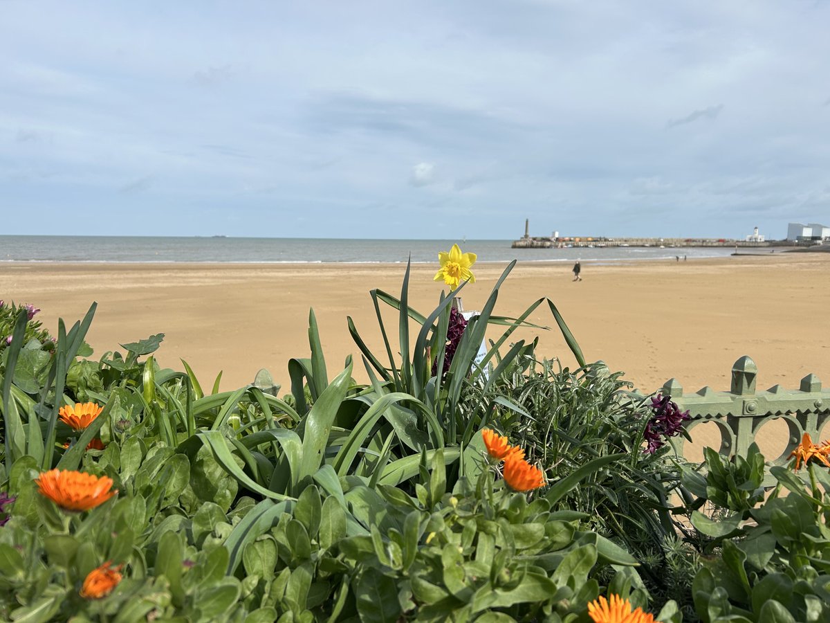 Sara Turle 💙 tweet media