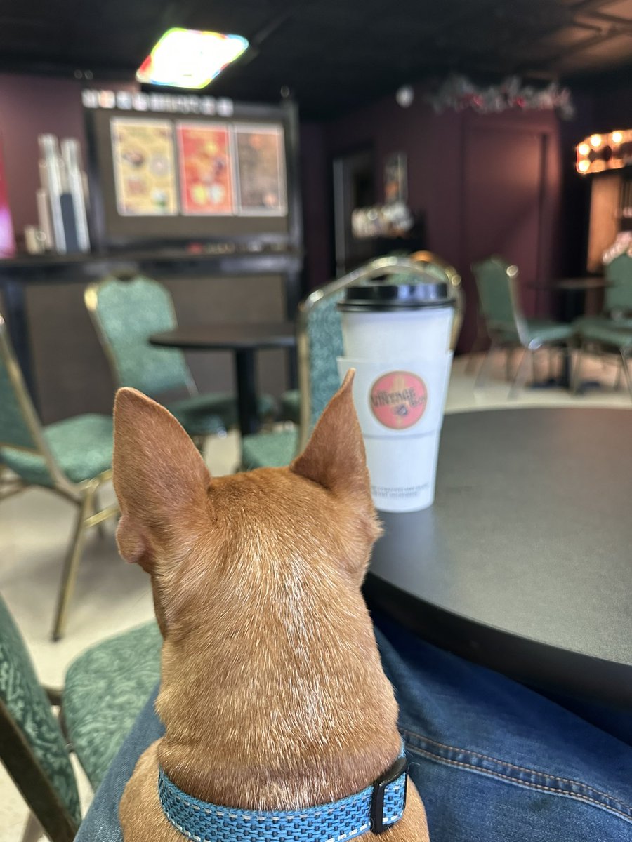 Melissa Stewart tweet media