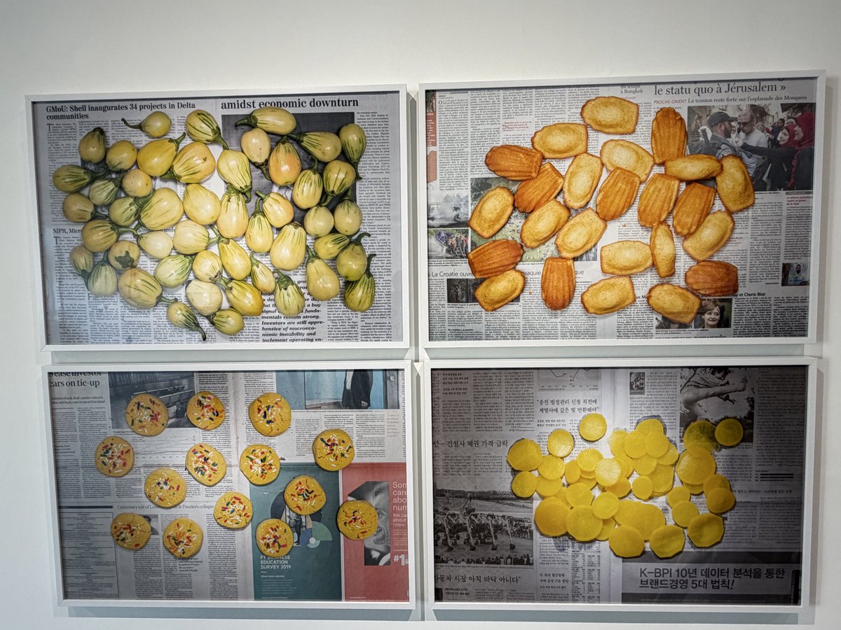 Cynthia Farid tweet media