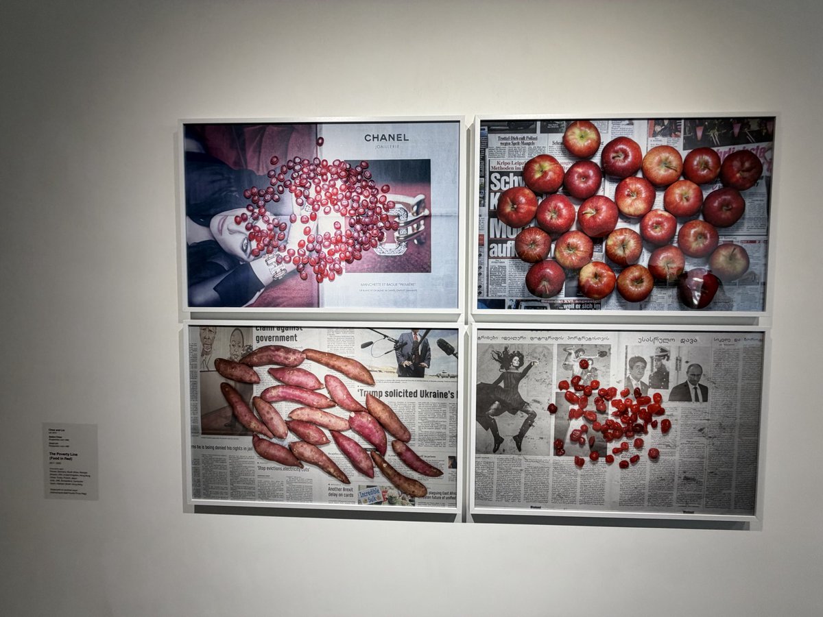 Cynthia Farid tweet media