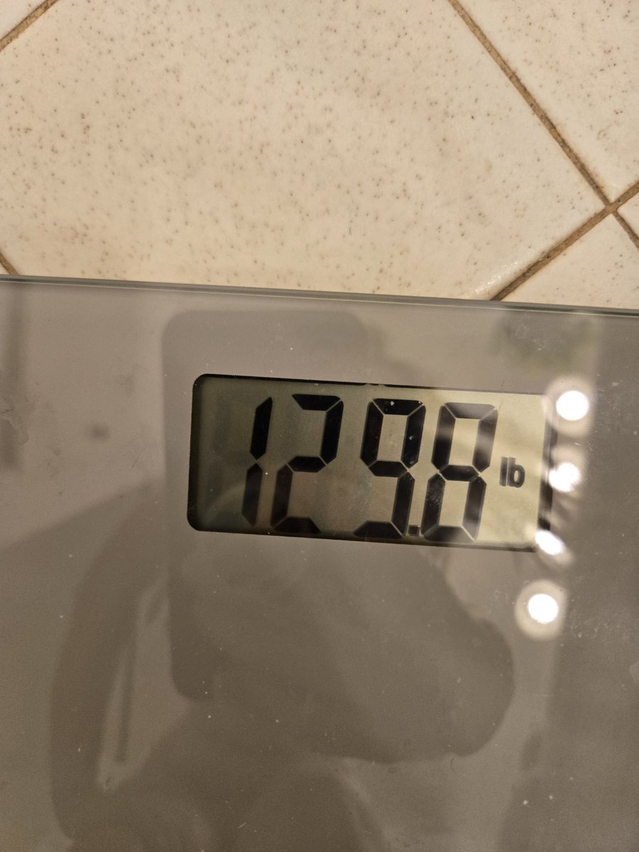 PowderDonutDog 🌌 tweet media