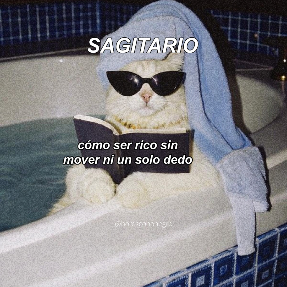 ¿Daremos con la clave? 😂