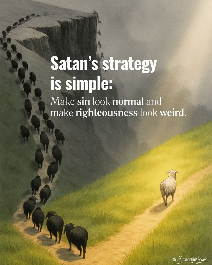 JulieParker144's tweet image. Psalms 5:8 Lead me, O LORD, in thy righteousness because of mine enemies; make thy way straight before my face. #StraightWay #Holiness #RealSalvation #GospelofTruth