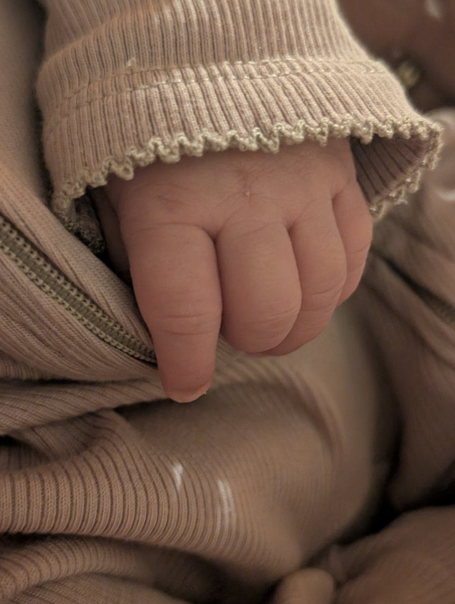 استمد دویوم tweet media